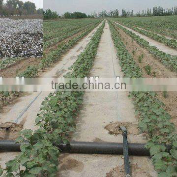 Drip Pipe With Cylinder Drippers for Fruit Save-water Irrigation