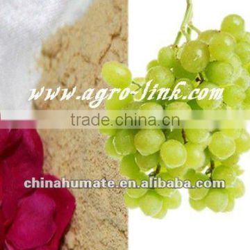 High Quality Branch chelate amino acids fertilizer with all types