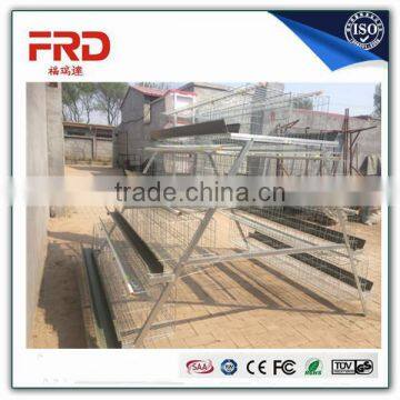 FRD HOT SALE Low Carbon Steel Wire 3-4 Tier Layer Chicken Cage/layer poultry cages for kenya farms