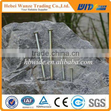 China hot sale concrete nails / polished common nails / concrete nail for factory