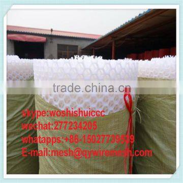 Super Quality Plastic Flat Net/turf Reinforcement Mesh/grass Protection Plastic Mesh photo-4