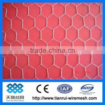 bird cage hexagonal wire mesh