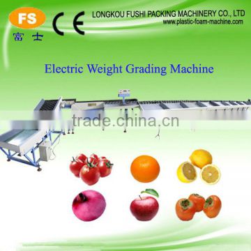 Fruit Weight Sizing Machine