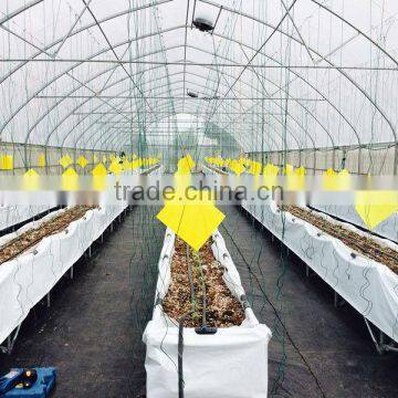 Agriculture green house single span Greenhouse