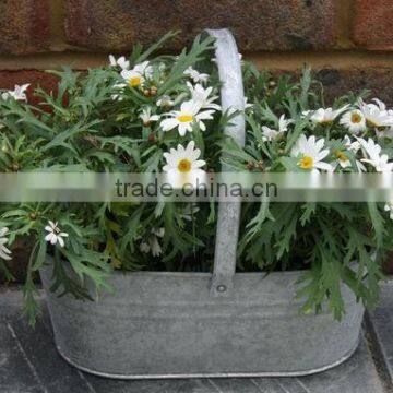 Zinc Planter and Gavanized Flower Pot with handle from Viet Nam