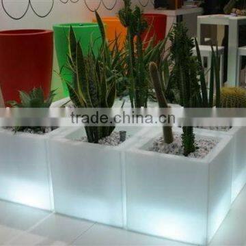 Flower Pot photo-5
