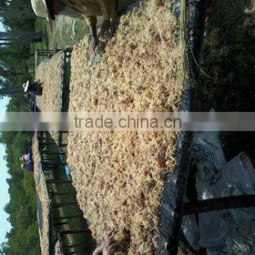 Eucheuma Cottoni With High Quality photo-4