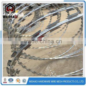 blade barbed security fencing