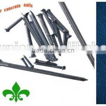 Galvanized Concrete Steel Nail/concrete Nails/steel Nail photo-4