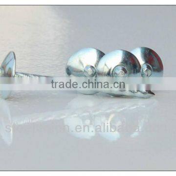 Type of Roofing Nails With Umbrella Head