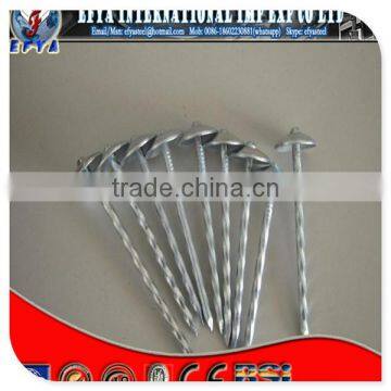 Electro Galvanized Umbrella head roofing nails