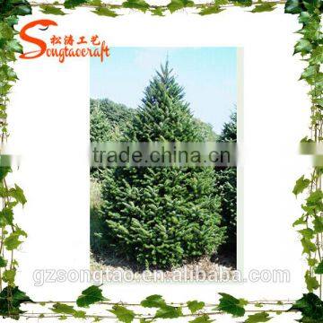 Hot Selling Artificial Plant High Sumulation Artificial Plant Indoor Decor Artificial Plants photo-3