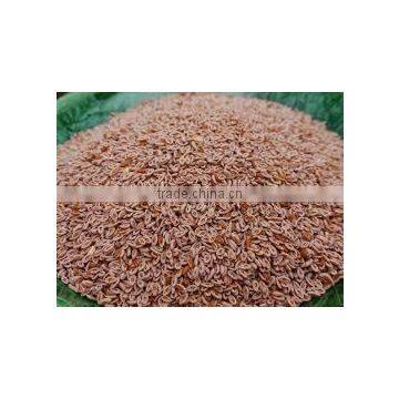 sort Tax Psyllium seed