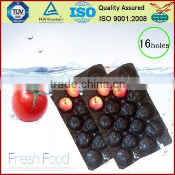 France Market Popular Wholesale 39x59cm Polypropylene Fruit Alveoles Tray For Apples photo-6