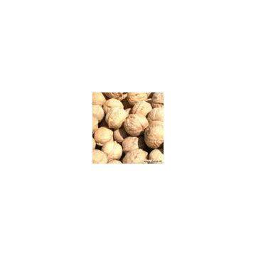 Sell Walnuts in Shell