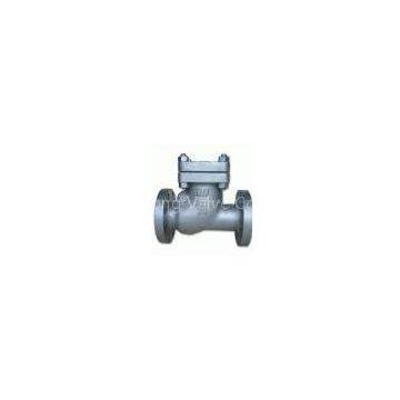 Check Valve