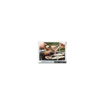barbecue grill wire netting