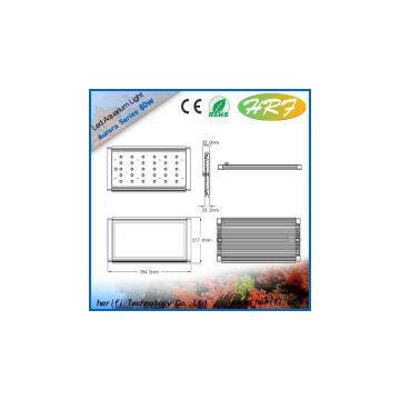 coral growth light