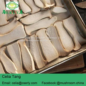 DRIED KING OYSTER MUSHROOM