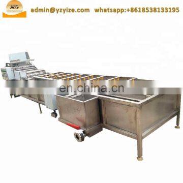 Bubble Type Fruit and Vegetable Washing Machine , Clean Vegetable Processing Line photo-5