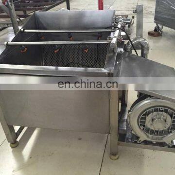 Multifunctional Fruit Cleaning Machine Price