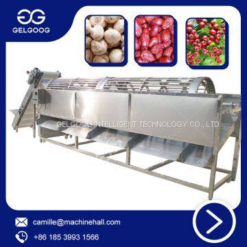 Trommel Classifier High Effective Vegetable Classifying Machine