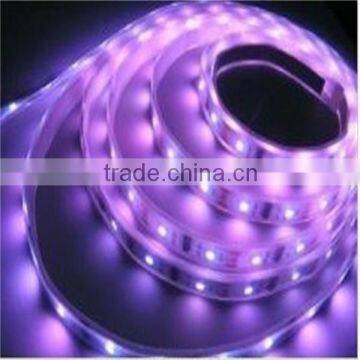 Double line smd5050 rgbw led strip light