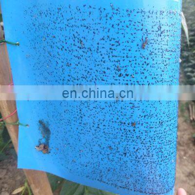 Strong Flies Traps Bugs Sticky Board Catching Aphid Insects Killer Pest Control Whitefly Thrip Leafminer Glue Sticker 2 Year