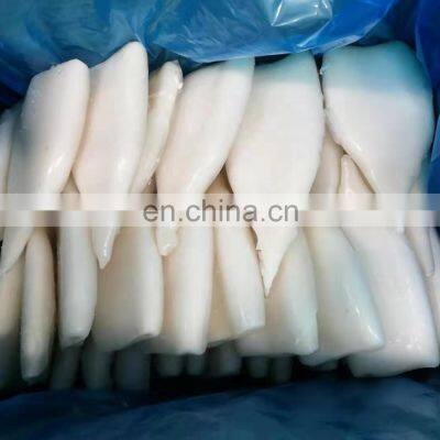 Hot Sale Squid Tube From China photo-2