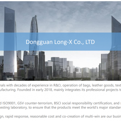 Dongguan LONG-X Co., LTD