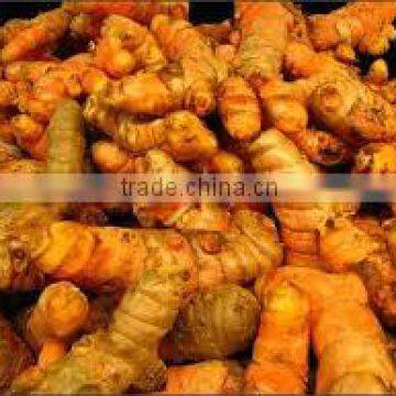 Vietnam Fresh Turmeric/Dried Turmeric Powder/Dried Whole Turmeric
