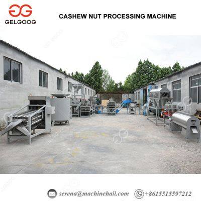 Automatic Cashew Nut Cutting Machine Automatic Cashew Shelling Machine Cashew Nut Processing Factory