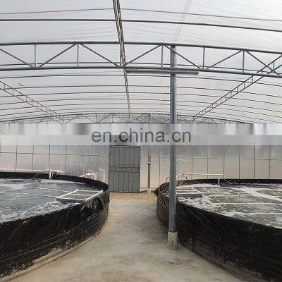 Heavy Duty UV Treated Waterproof Transparent Tarp Clear PE Tarpaulin for Greenhouse Poultry Cover photo-2