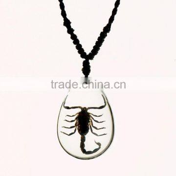 New Fashion Lovely Necklace With Real Insect photo-5