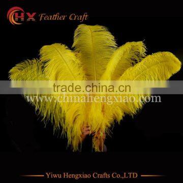 China HX Wholesale Cheap Big Size White Ostrich Feathers for Sale photo-4