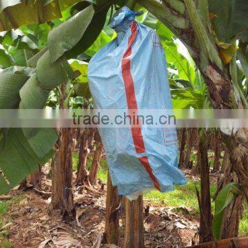 China wholesale LDPE banana cover bag