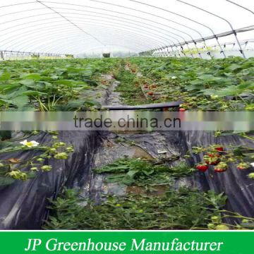 agricultural tunnel greenhouse