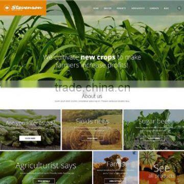 Website Design/ Ecommerce Website Design/ Shopping Cart Web Design