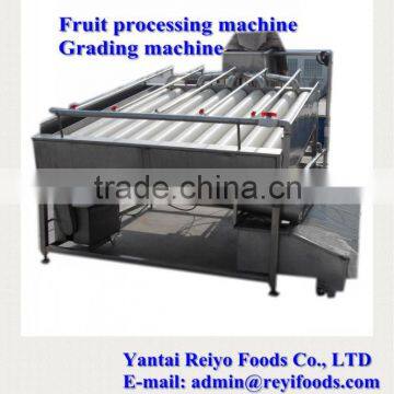 Cherry Grading Machine / Cherry/tomato Grading Machine photo-2