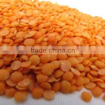 Bulk Red Lentil, Green Lentil