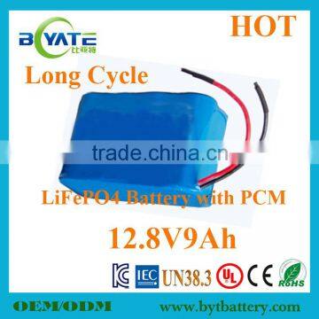 Hot Sell LiFePO4 12V Vacuum Cleaner Battery Factory