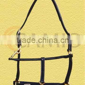 Leather Halter padded 1"