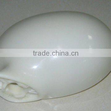 Auto Mirror Mold