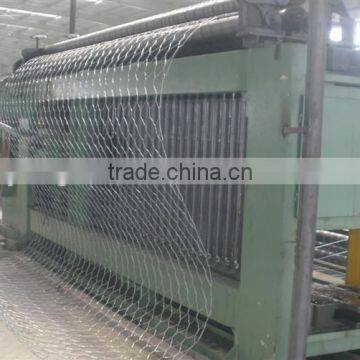 2x1x1 Gabion Wire Mesh Box for Stone photo-4