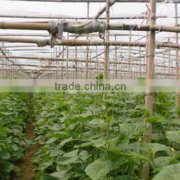 Hot Sale Greenhouse Film for Fruit