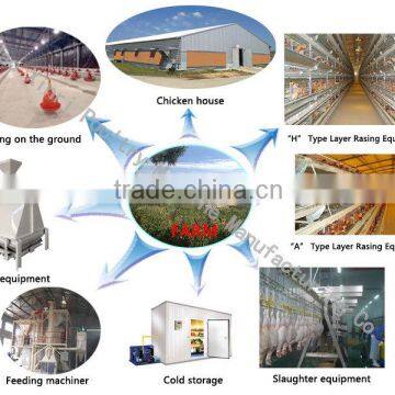 One-stop service chicken poultry farm design and building