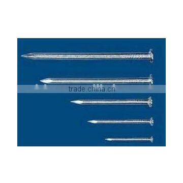 galvanzied and polished common iron nail round flat head