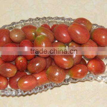 Export Fresh Sweet Cherry Tomato photo-2