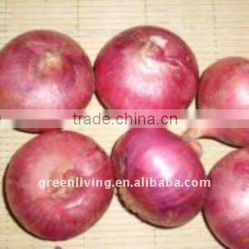 onion with mesh bags in China