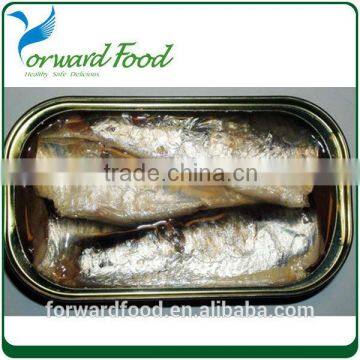 Chinese canned sardine in brine tin can